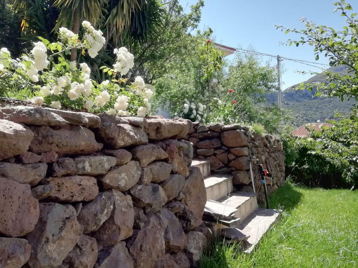 Casa Vacanze Villa Rosetta Dorgali Εξωτερικό φωτογραφία
