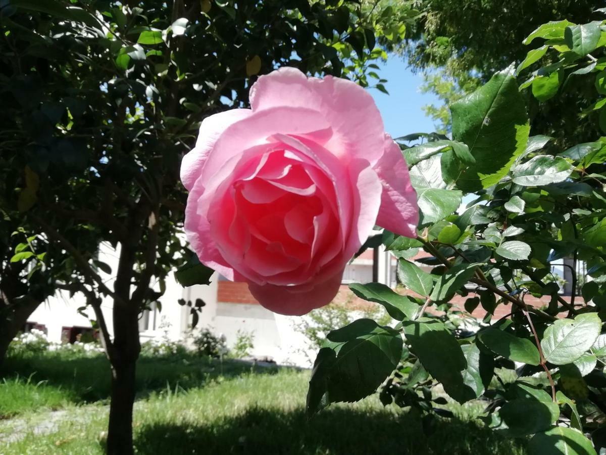 Casa Vacanze Villa Rosetta Dorgali Εξωτερικό φωτογραφία