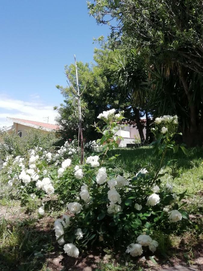 Casa Vacanze Villa Rosetta Dorgali Εξωτερικό φωτογραφία