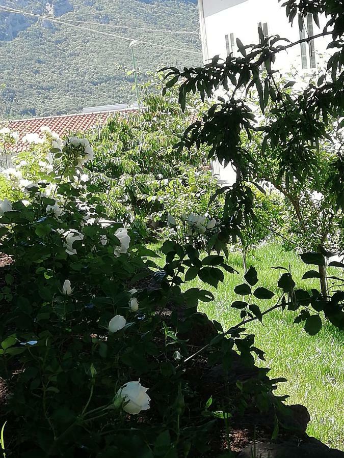 Casa Vacanze Villa Rosetta Dorgali Εξωτερικό φωτογραφία